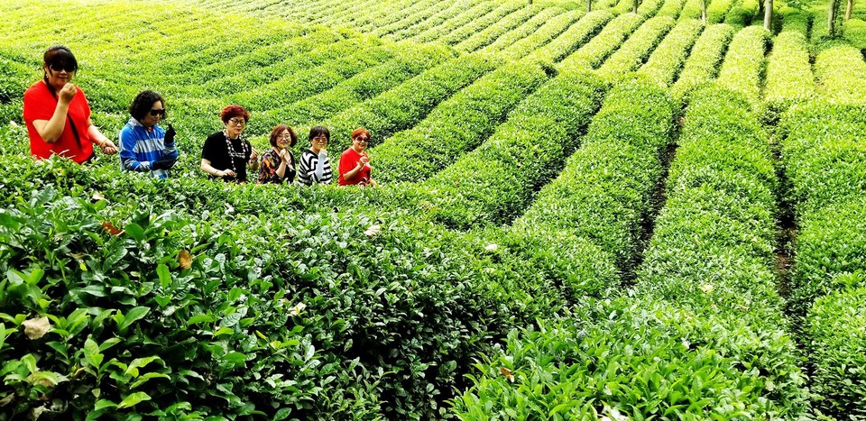 hiziwwNXJGsUS9kz8NO-SePcps6h02NEUU255t7xToRqZ7JMR6e4kbXTugJjrQxB