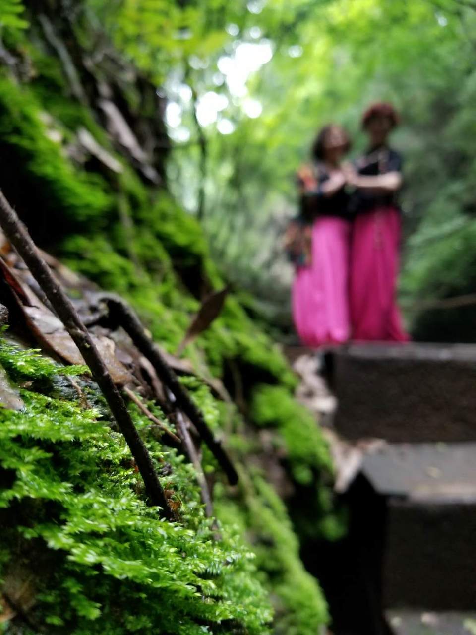 QnRZAaiGz8ieTjFL01TDMMdriwp6Vx089hhXtFD2l1jyp0utlp7vtxNIDQvmLygh