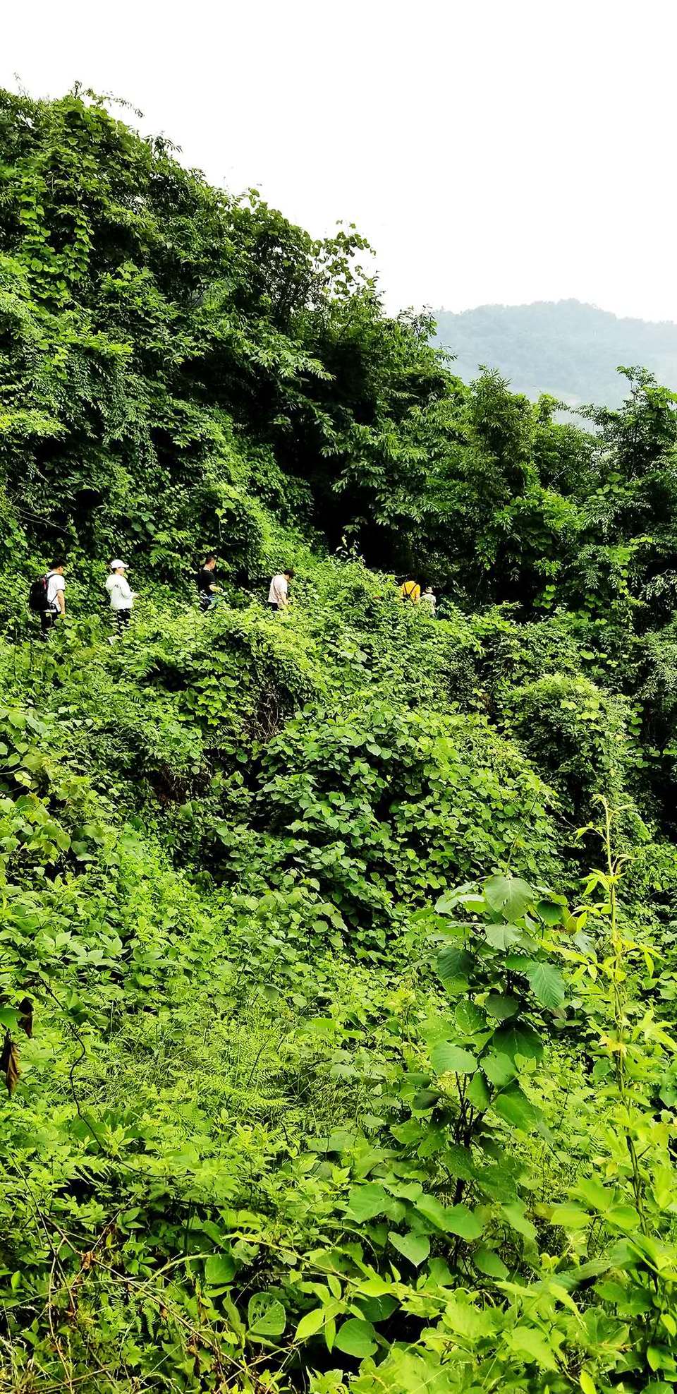 4bXEZ5ZDTG35tzxjZNAovOcx0XjEUImv2WEPmlLgbn22oBBF8C3JH3JdpgP5Rh47