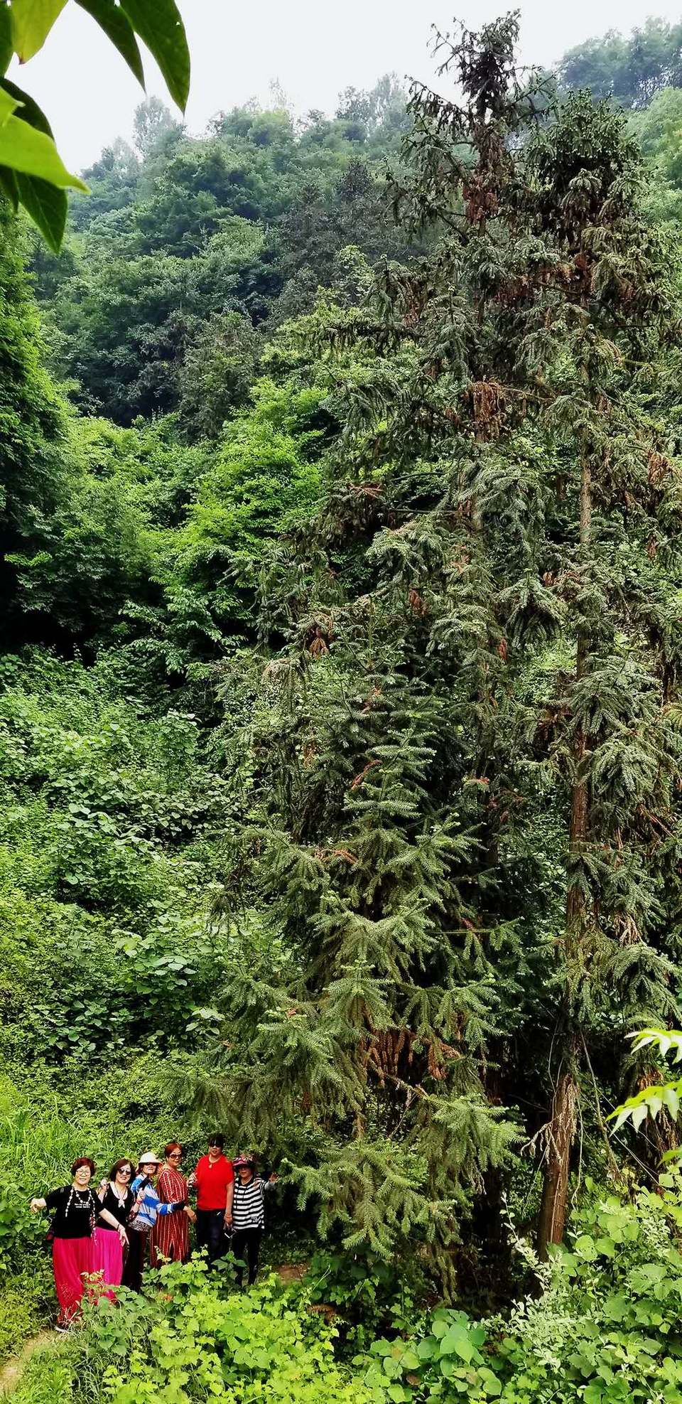 SIWQOhNN9r5A1cc8gAS79le6MSMLKWF4JACTEoP6Ry58D-g2b54c_wcoECeak3jG