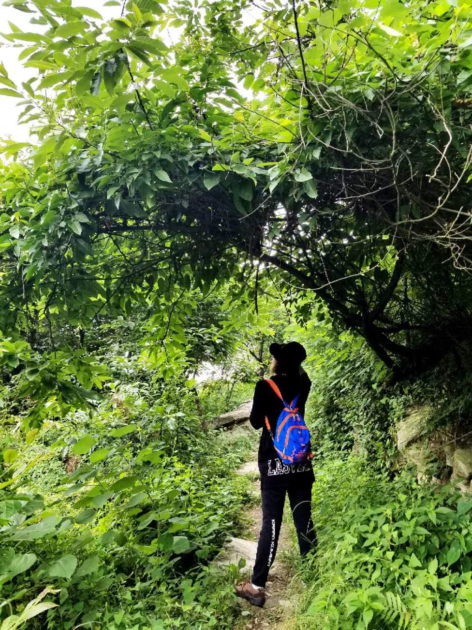 jfzHiYhdbqg_YbmB5OooJFefFVNvvhbVB6gIlYSFzkhbwUT1zOumykTpnHCYRlEi