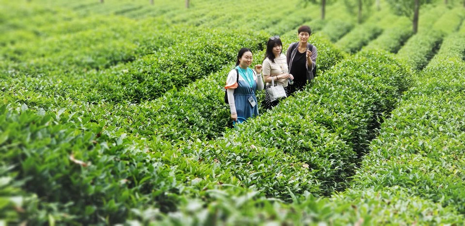 aSpwjcu1uF-r7MUdZu9oQuDDgGai6rbDee5Ks1K-RtiFn7kylNS2oNOb84IqqkB8