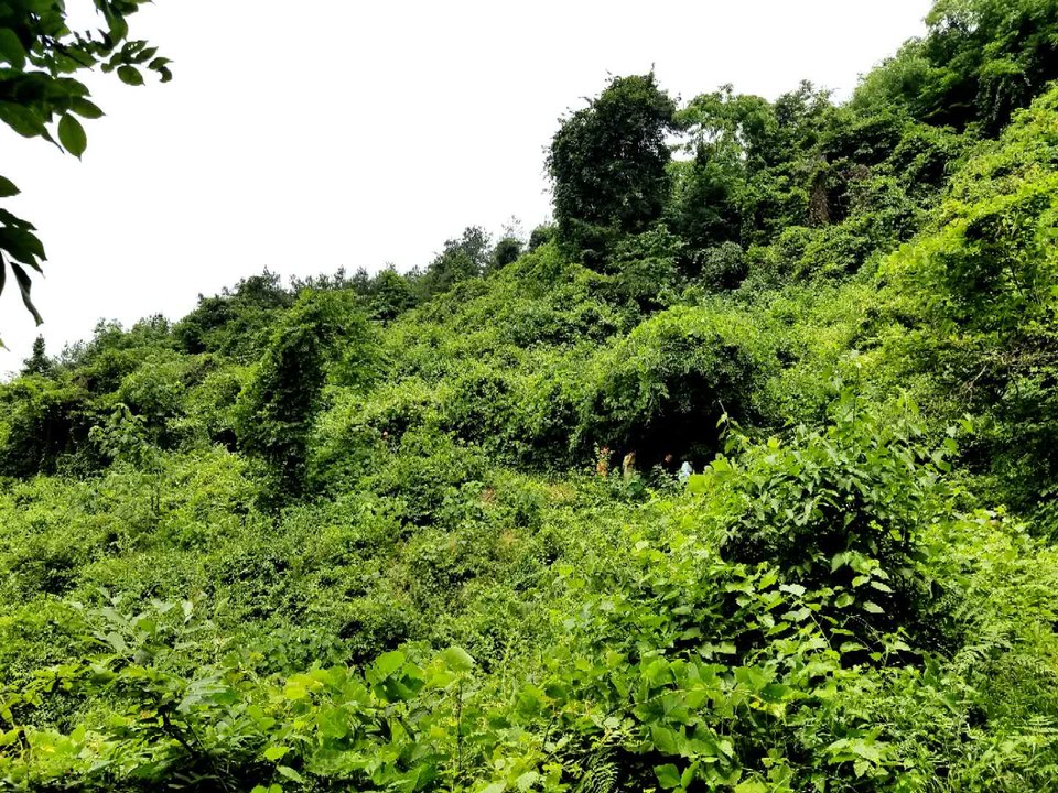 iBD6d7cMAU-6EbDgrqh_qAJ72tFbogq3ymJl09pq9vqfvSE6tTg24QMtg4IxuknL