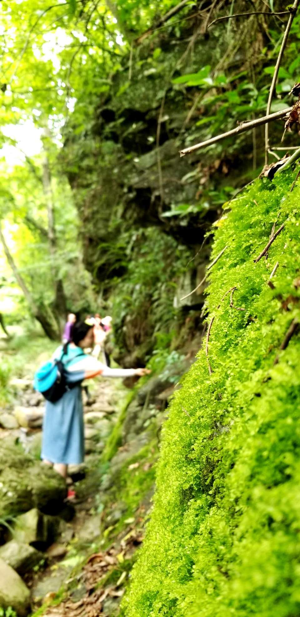 A3ivNkNiR66MdZVVkV7FkIzLfpjdhy_21eQZCdrKHG-K-lJGE-UIg7PHNWYX75vy