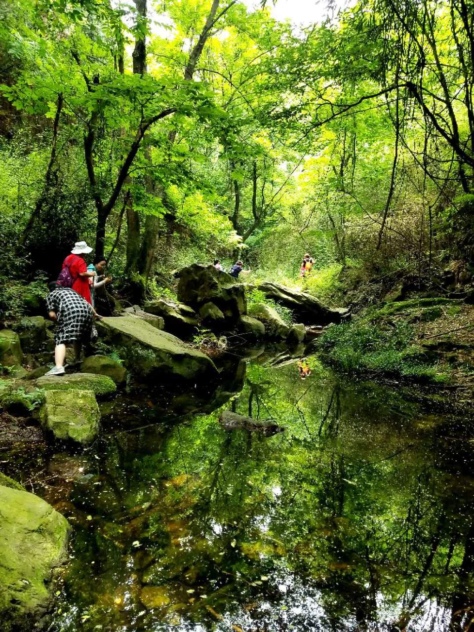 ECQnL9zQxPGz2FGwZEN684xIB0Q7jNbCIAS4iy7Wctm2LX7JHMmx9VQPWDgZsAFu