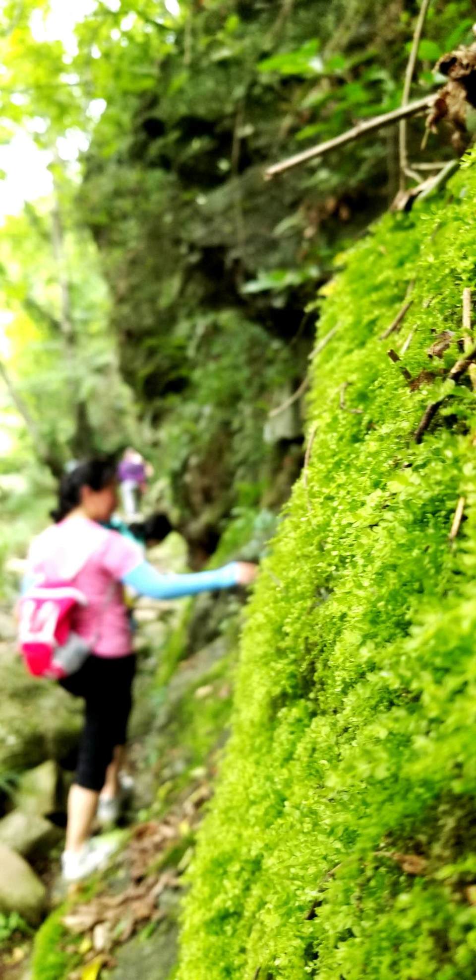 2_BRHWsoEDvnmD1iicBjRDSI9ynVvjdOnAxO5dpXuVgkpHxpr67DgGKVw7oIjWP7