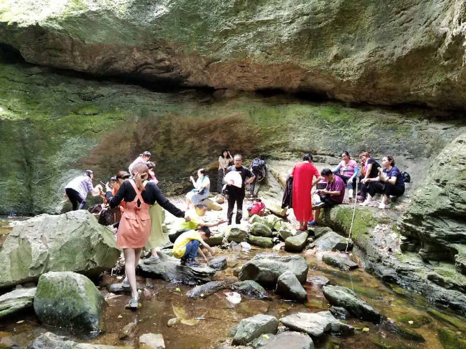 52XjrENyoDPh-Xdbh_y0IKCcdYTEGmGu9xLZNEx8R57QaMfjusbB3FfMI4hAXFph