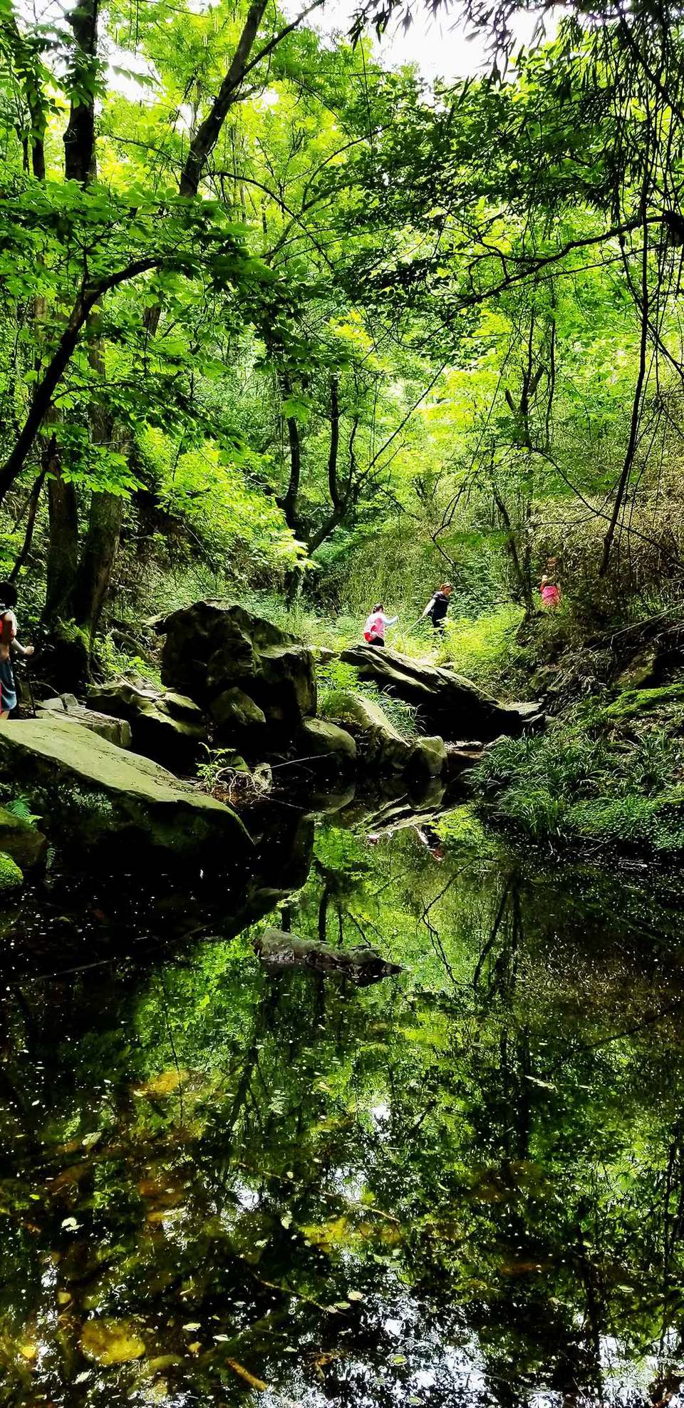 wveYSrhB3fpczJYMdpw5mRN0UC_4enH3h4JibfS6drMrsXexJO2ZjqZ5fH2Z6Kl1