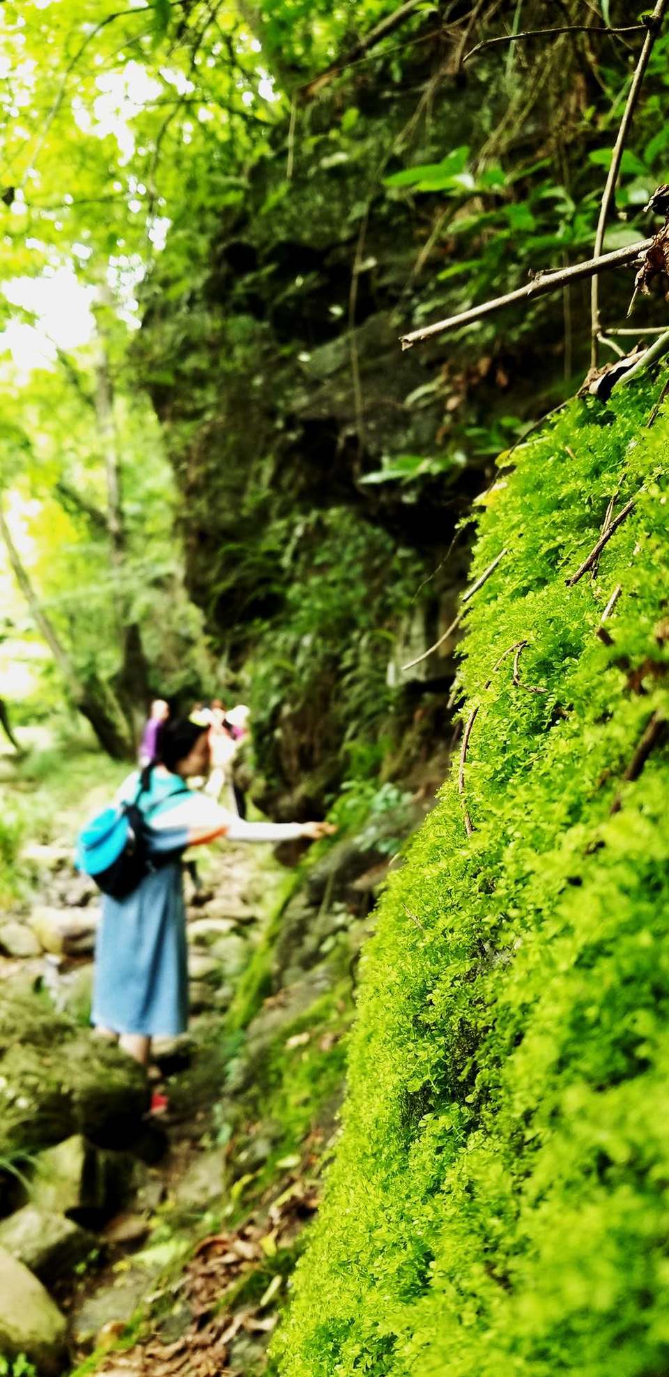 PxxEdrINgxeB0wXRdw45niqlHFmLQAOS_x-C0d2aEazIiEi8yf_rN_NJ4r6zrhq-