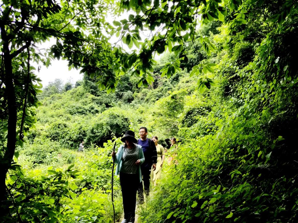 Kjur3liARcy8swIc0TlIhqNxFjS1nDv_Nim219lARHY8yfwYj254gMOEDpe9gRyL