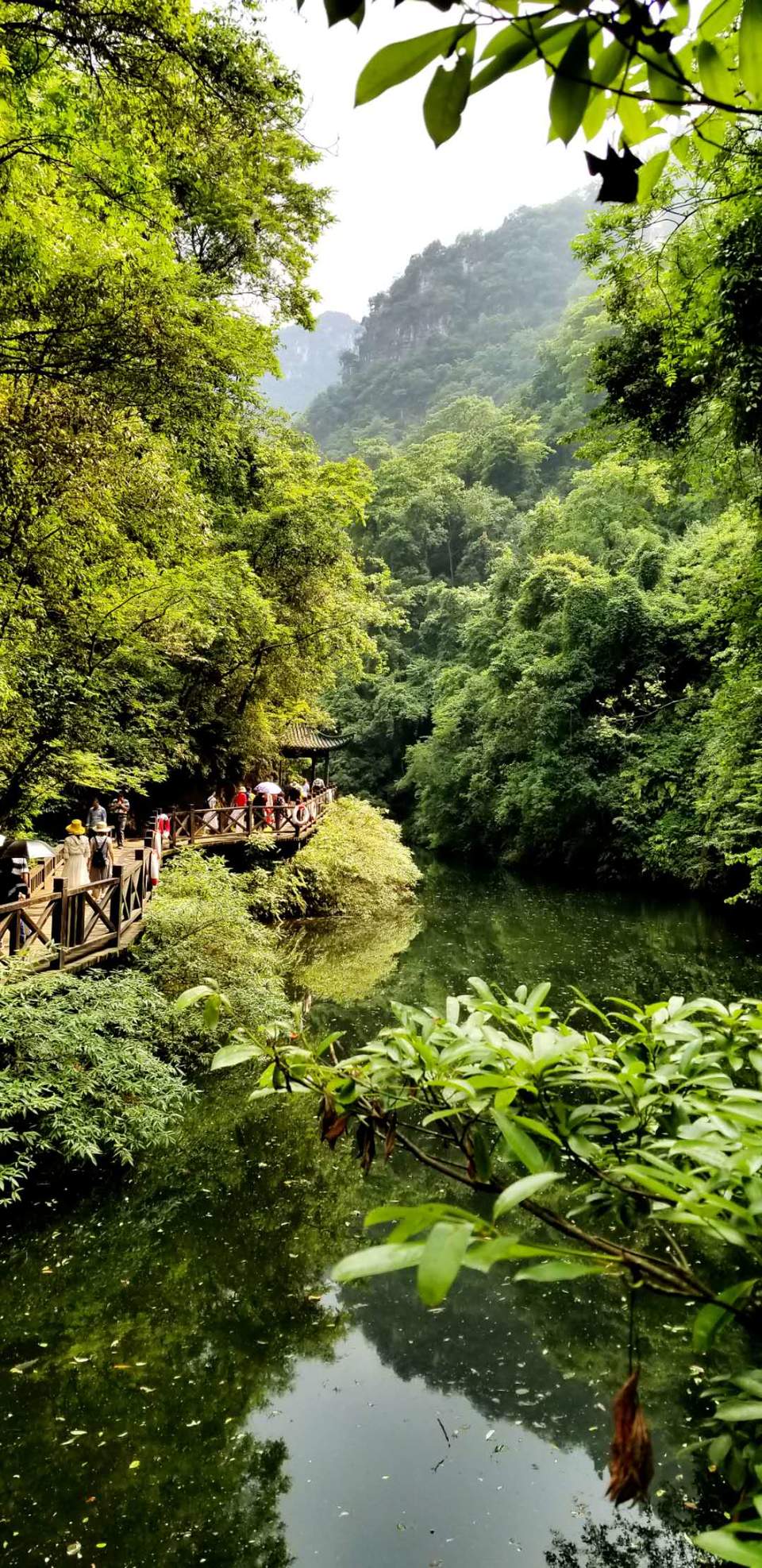 QP0Lt56CbmILVkWOT5Tga8tRZbuRH2ZSHQAY50cL1c7FrQ87RqJbPoDOgjUUBLOR