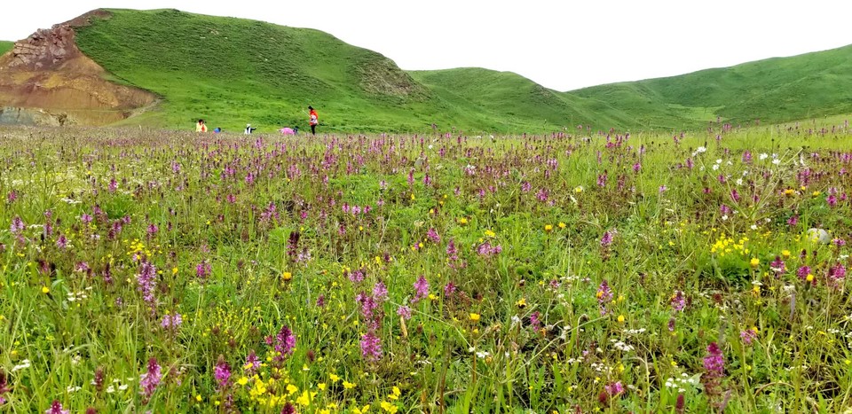 waEGtx4KjphoT1AVQvMWnCSCI9ftAnQLz6oTEroLKR0Rz8bj3LsMzOXudS2T92Gn