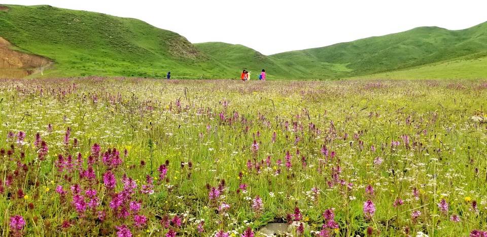 fw-6S5QTZuWJpkSn-_fW8ImGr1LuOPUHv9Munyg4qiwdtOx5JBP6nBtGbvhiU4Ed