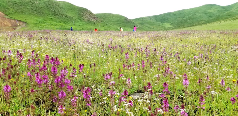 syRQ4szhULgimofOuDRcMqvLNlF6hMQpa1PiFK5SVTiPunF8JvuK_8aLJ8wuNex_