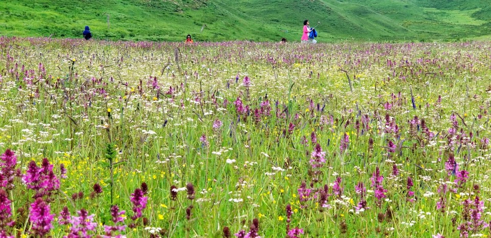 R2tb-kewh2fP1-3glsUXAEDIOYo0gtUXdQioKI4PAji04aVfn96d6MdKSv8VU9bs