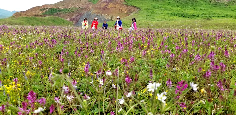 jVWWLtNB_awwfj4Ek8AN06SvCAUv182uf7WT84-WTbOeHJxVoMe1kpgxSwceTQwx