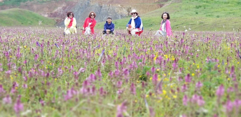 SZXNCoDARihboY8z5ULukfR6Ik1wwArTM5u52_sdvvqhTfey3AQ7EhflO8h5im_w