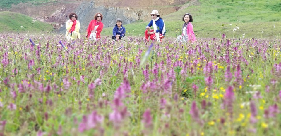 1WNOYheuAr1OQ6hu2xirfOZRRDuWf_7dSYGpgFGKJiuIR6wsADoAebd6_nGKGQ-e