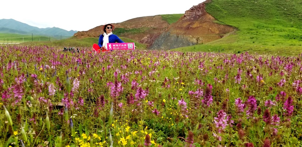 r_p1MYa04LTmHPALdjcVgM5TJSR30IVEsZGOJ1zJ8sugGi2RwXrWZm5BRGtXHarP