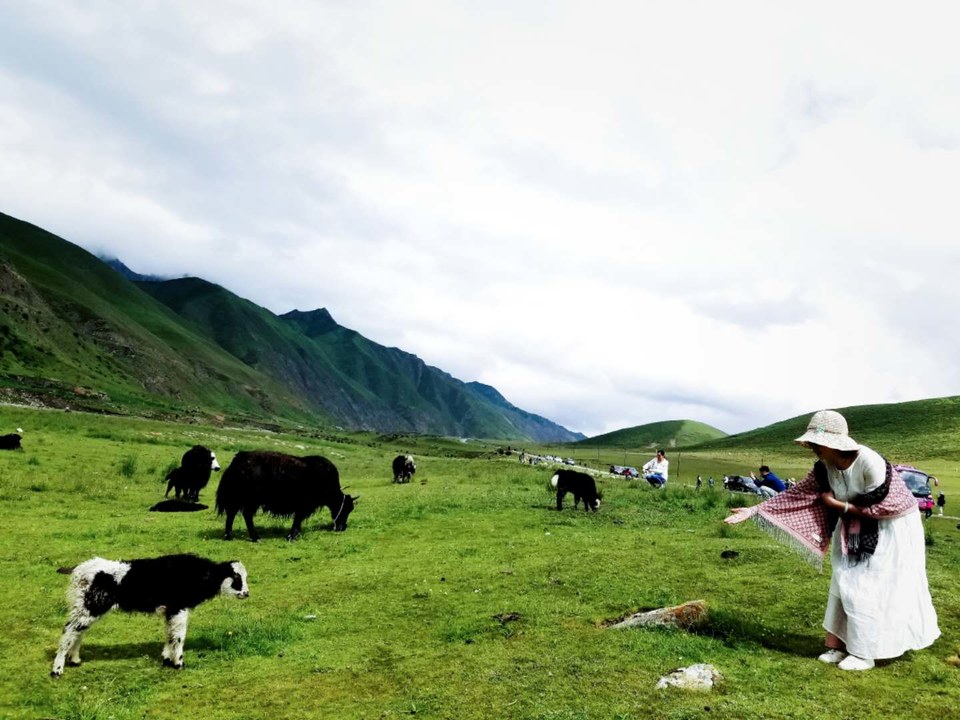 XLr1Gy2cq2N3V-MsA43jFEuOlqOAvns3q6Uo-Q9kbwnEcm2QmNRSK8so4fjWIFjh