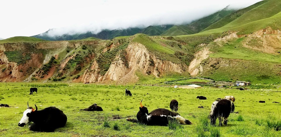 CI203hGaNnufTcpxHbCNYGrywGAM75Yj4FPUcyab0KdSafbEvwmC6ry5MZ1U_F9x