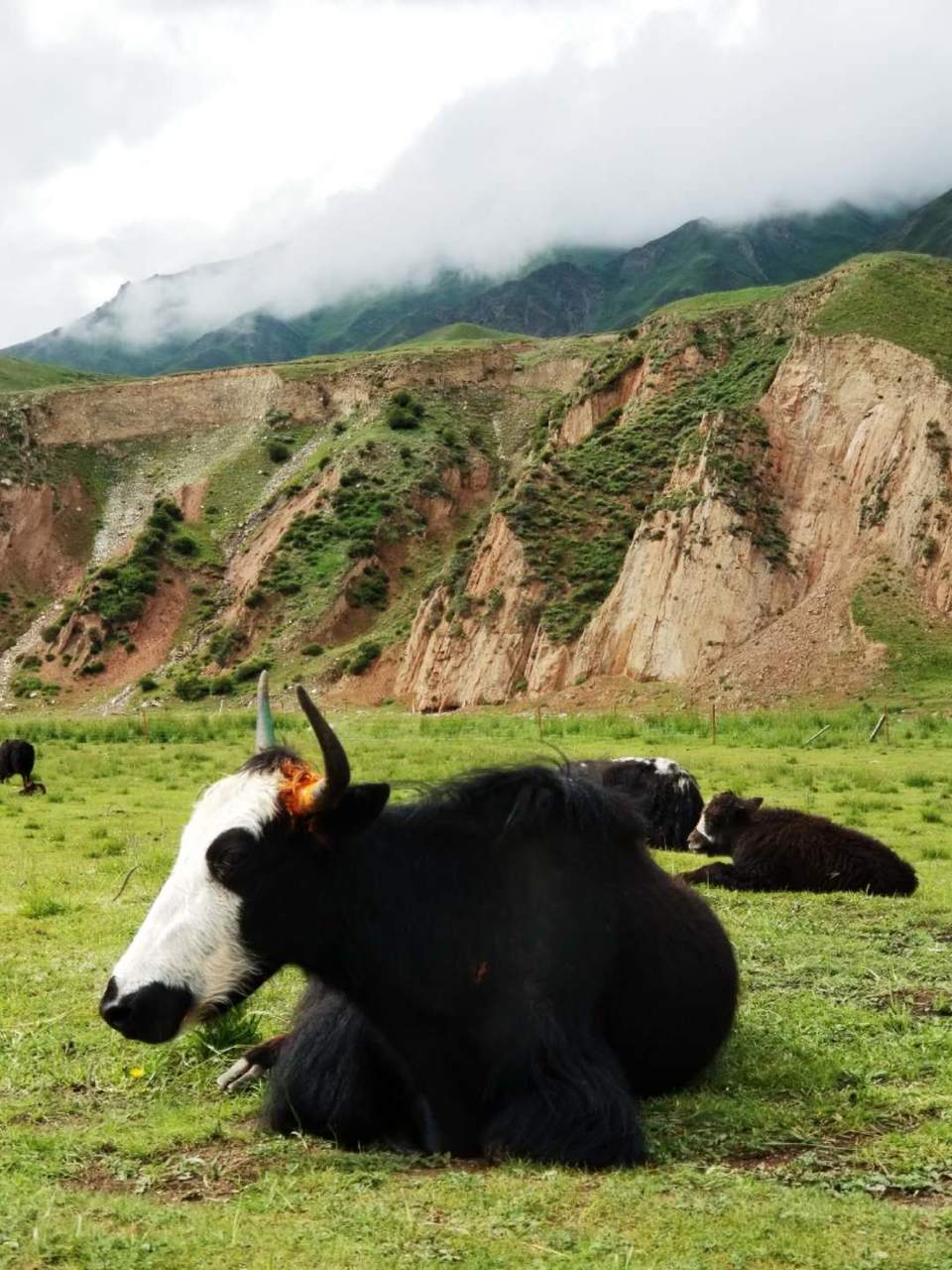 N-ckRF9lW5DJZHdrNjndTTBuQR3t0FQcbKChMko2QHLKDDHfOjqhPI_6L4dPI6Ql