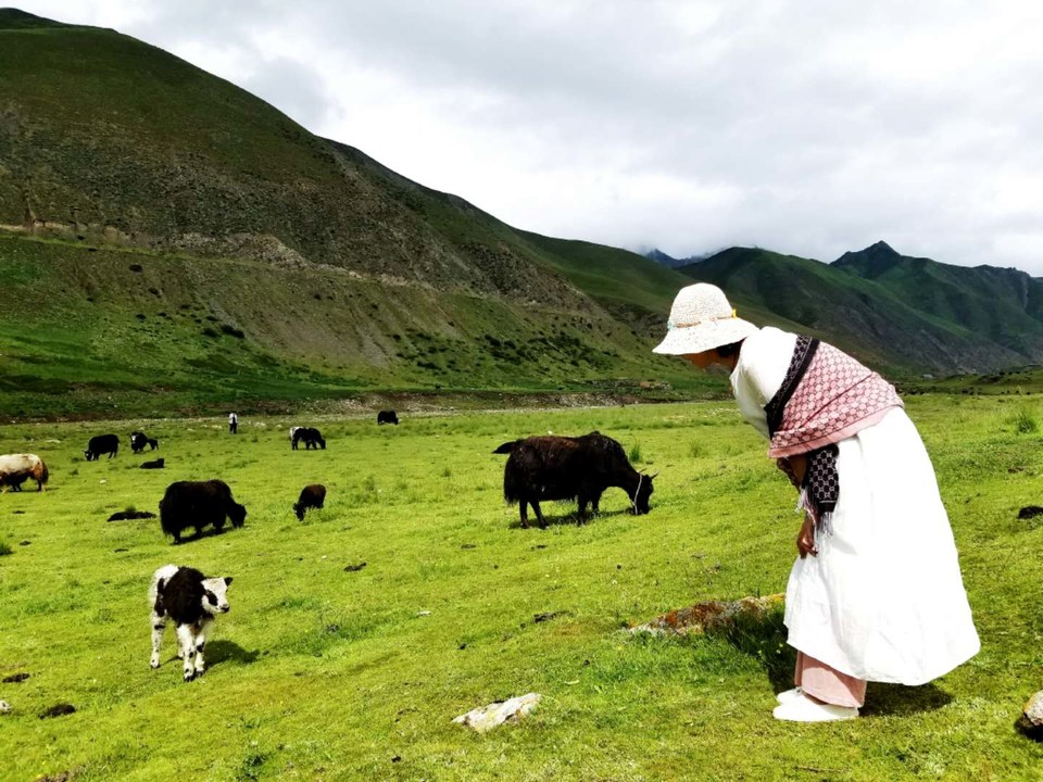 nE0_-yXVJIs6oQa8vEpb1zai2rgR0mPJm4u2IMb9iBxTRZF3lEEtZFDSiYyVeGY3