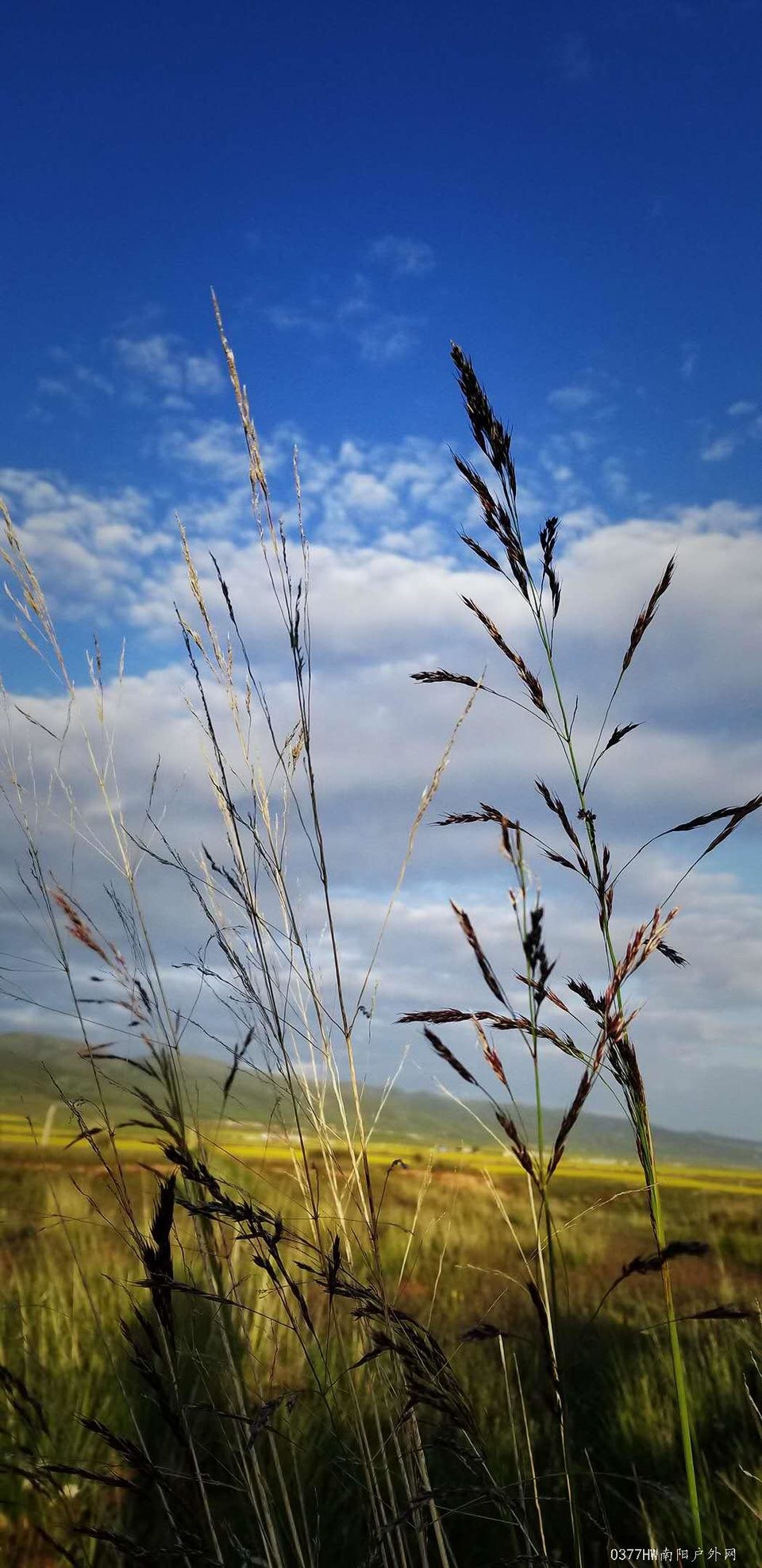 UAH-DJmn7RG56NYoBXn5st7sB_ltCi4dClsCnWcYYkyPSfXjfnAnXiLGjJf1XI2P