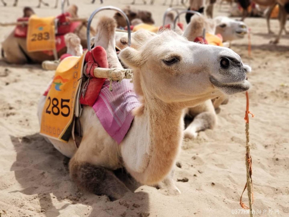 1wU2w3YENaUZfiXqrV6n-ySqT4qnVpYVxmVnyfmZrOW2lRztawRy4snZoB4n5xzp