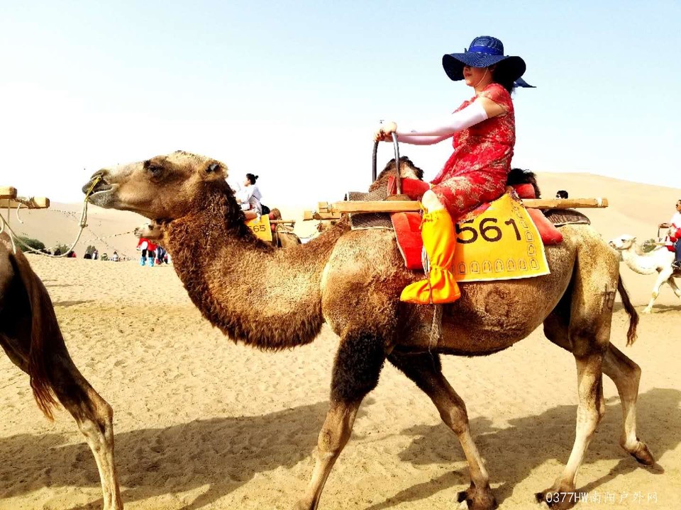 pz6Tjgd9znkGYyWqkPccxJALtRy5PQqhV_Y1iuh7pEt62IpQYMioLekdZOPS1iDC