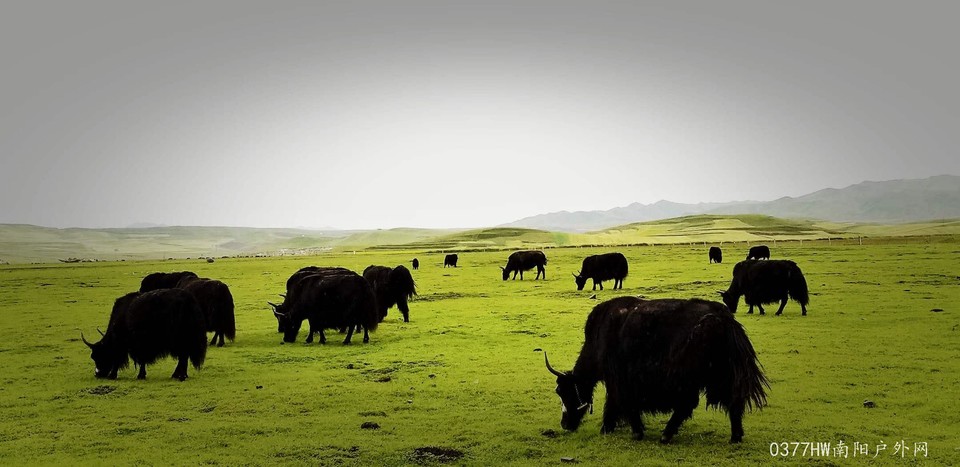 RRNBkx9aO43B1RjlQODS2kw9wCD72bY6fC9hFG9wk_R1HVSqvS9yMkSAK5I12KVB