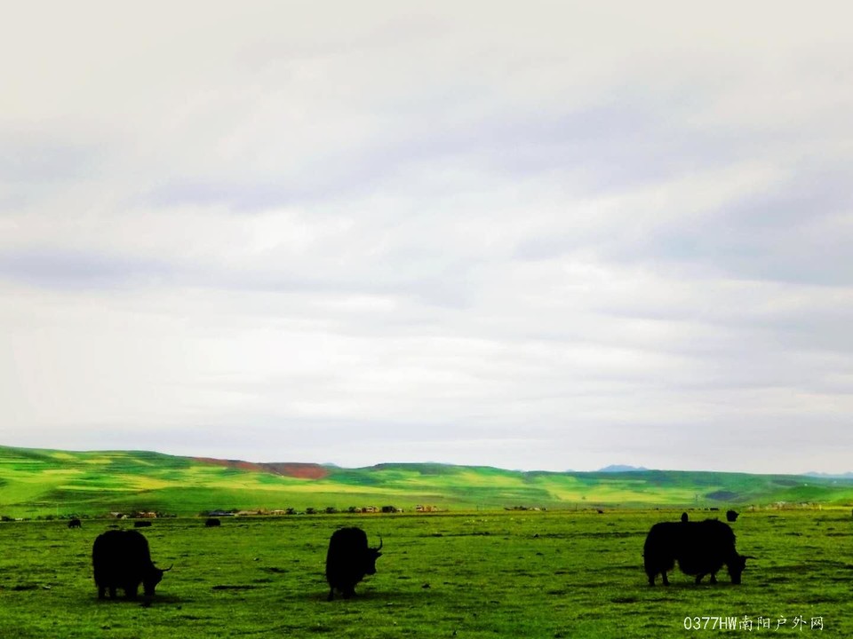 Yg8SQ04hZGF4ZIWlcYfZ__Ht7PhJlRHL1qnVZ3ARsVYroshUhnytv4T2YRSC4kje