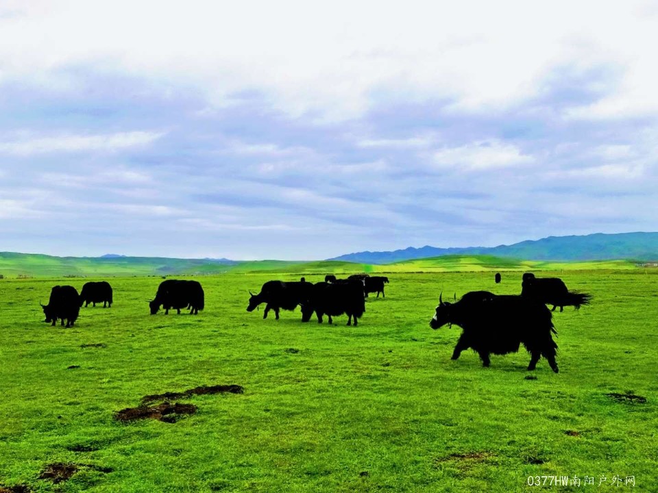 L5REfQwyPAy9HNwAsXiS5V3ZUGX5NkHqRn_X0GEFSKbyzhivf1vY1ESNfwO86ZsF