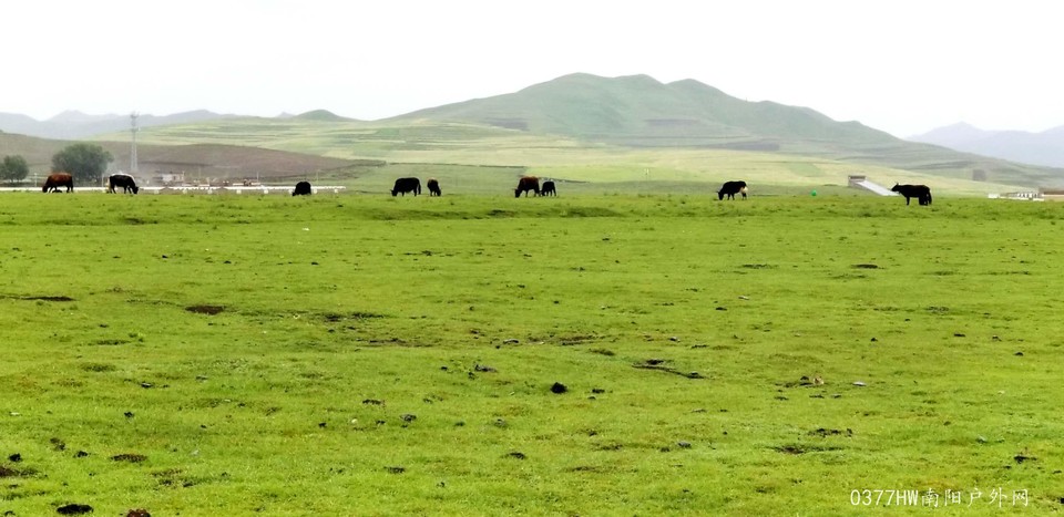 YKs6JM7D-18TuvX450JpQ3U-_z4su-zPjDo7VYceV9VlUe4cmCAnZtE-X091QLsm