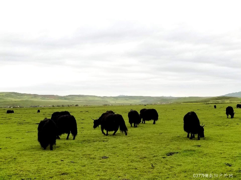 KVIsTH4ajFtRuXTOLv1RHQy48tNLrforkGGWO40o2vAdLNfct_JkXy2eiNu3DlAg