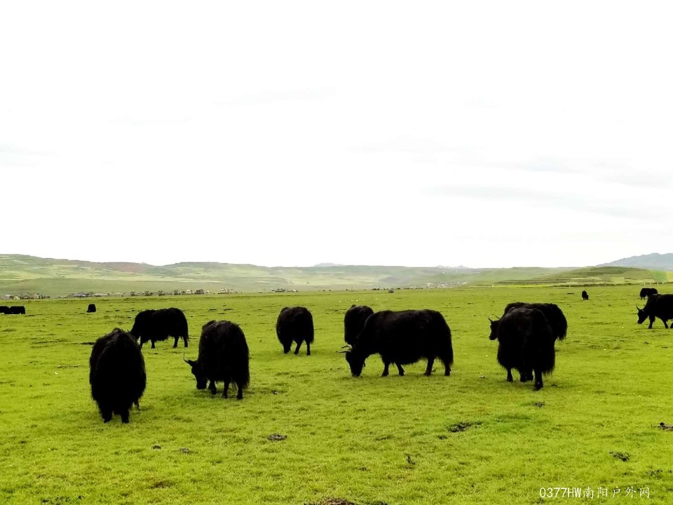 I0bz9CCg-IqS-8NVsxRC7yJrG7_uKxGnNHFyzV2aeQrH8UHSNylfJmTvuRyhTqQo