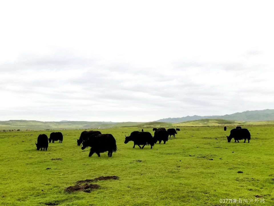 IJn7PUiloQToQNS1GLdmMInKpLadm0fTk0p1atF2PRrFSVIOGAqqgahbXgKMDKBp