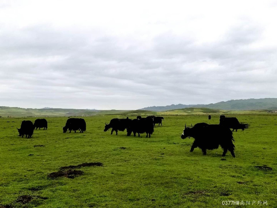 Bn7SmkxfSfZQ86PDMiKyaKY0gpmpIvl1ZGB5D5Pm3K6opJ13ICMmCLcwmUTU-VOj