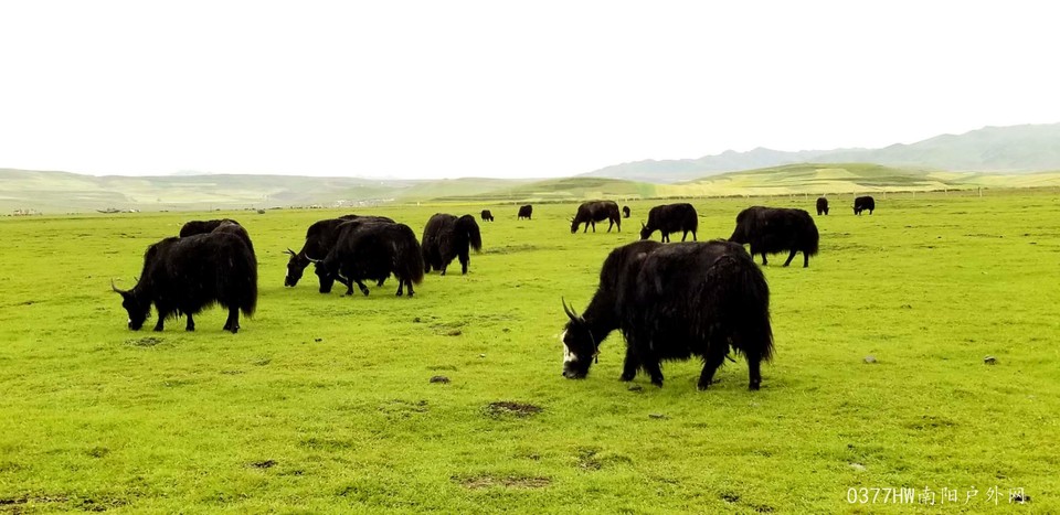 T15RJ2Vas2SCIgcixtOSZ6EKqg0cCPSOm1CslKi9ynMb8j5yGaYKgdun9gEEF-ek