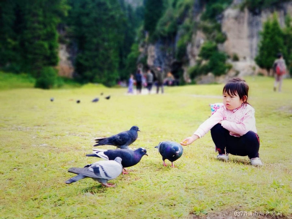 H2HXoKPBOVMTPvx3_i-j3YpmjDiVLzoha5GaLa0-LX2eBECExM_sKiV35Y0qk4z8