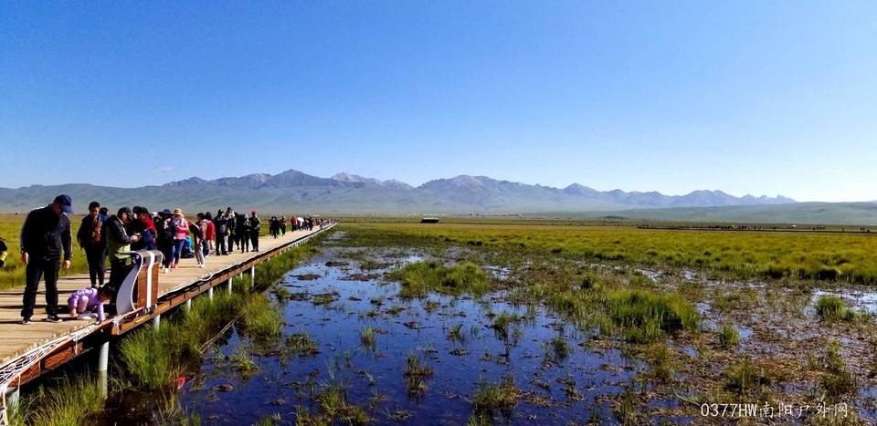 zDi1ydDVueTMwAi-aQ3R0R_2vz7l4E23O_Gxb5cZ0S_nL-td9fAtUoAlyjp-nTQX