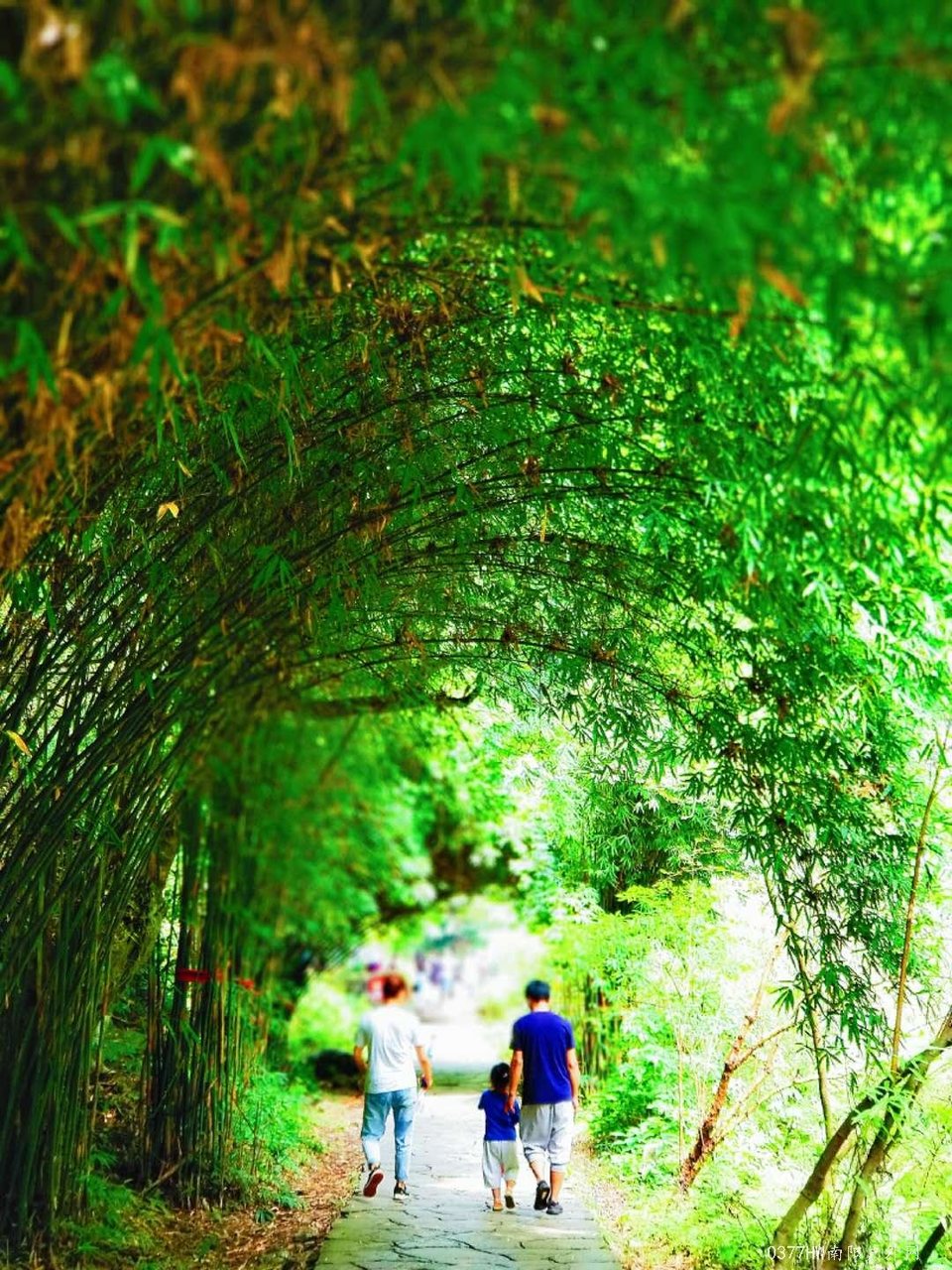 e9iDD3HPanppctCDsxjayA2O0SNjx4RGzR9RPAxcZyFCXNqqizFY3dsp8yrFB-Vr