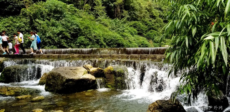 pu5v5rc2TjRO_tC81lJguY5FLAF544SPenz3ZXY6XFs0HIzs7NR_c8wkSNO-j5Se