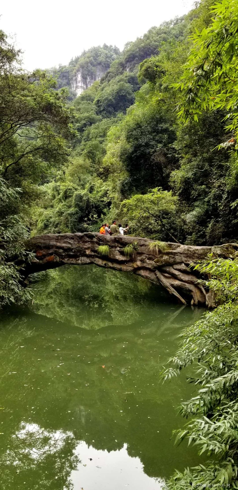 RDsoEwsnZR0PYk5TviWH_GF6eKwhqz_diEup_TPq4eKkM8Xwf1453bEvvAEAEYBr