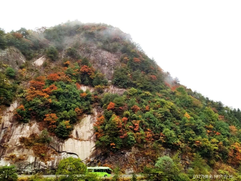 5LHJ1eW9Prc4dPhCcRO3oq1-QjW6xtlMpzZpvtLNKgqmaqvV3_HppoNaY5x0lLTD