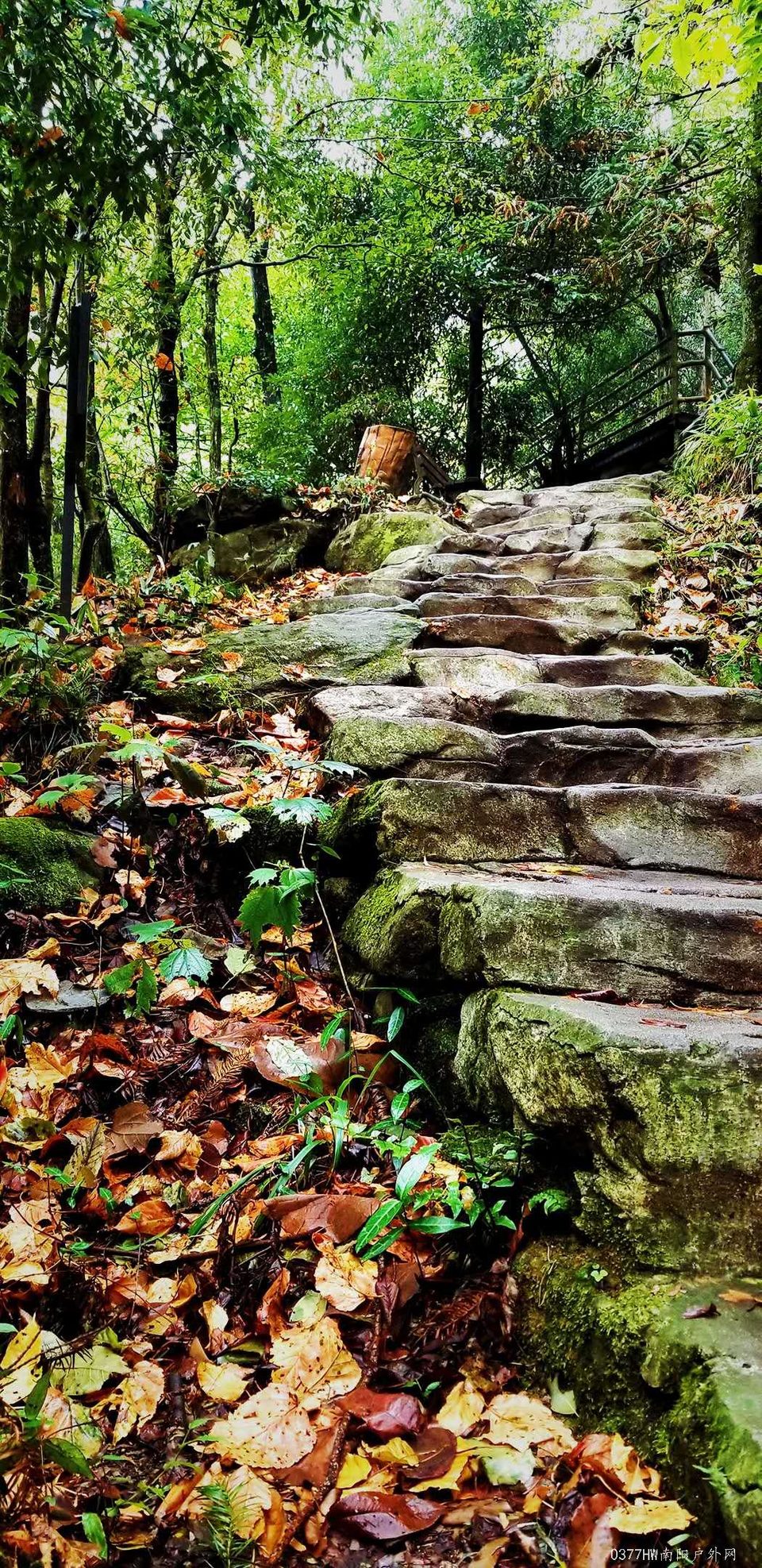 GQty2gUmBlGusBuj2eZ-cyEeckJfLZDwlLJtmK16V1E7Syz6GogLzEJcpWgfadwp