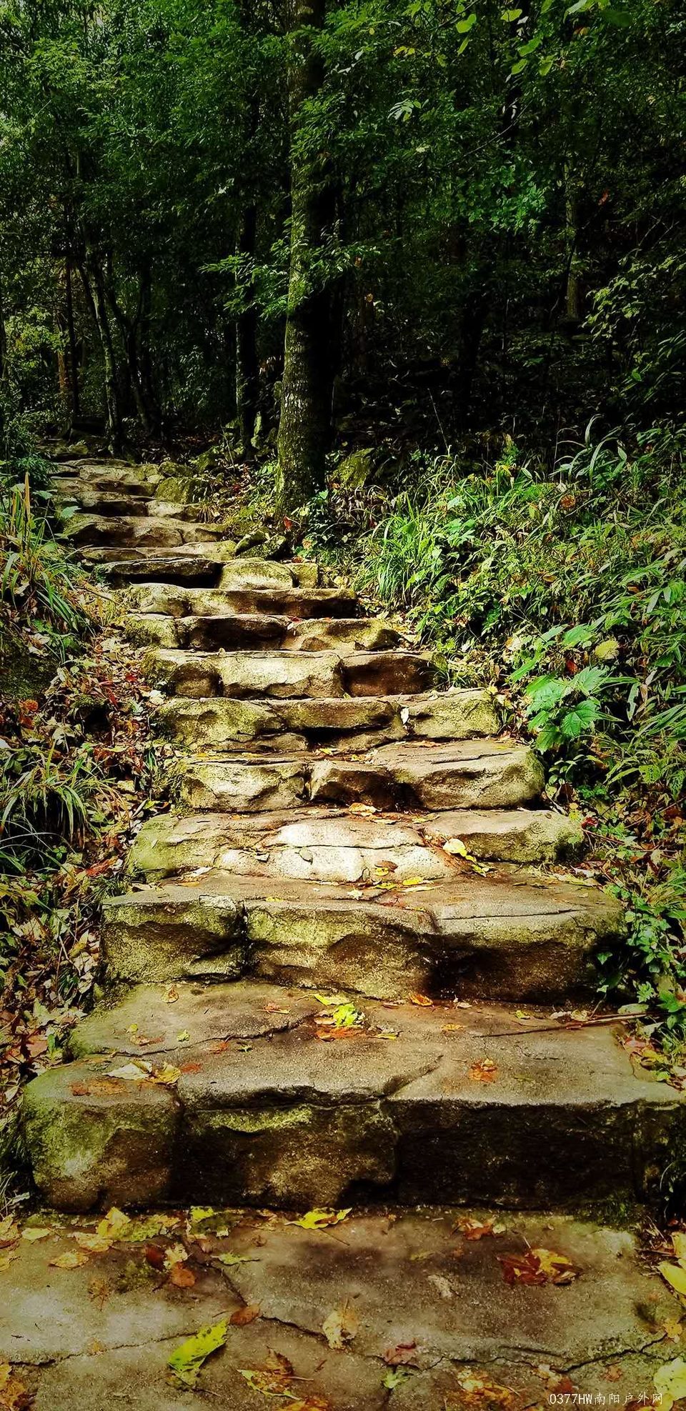 vaLR-S4xiNqdo4iM2KTtQcytrvLcrBpZiEdncf-LFraNi0SzFnKNbk_2DLAwkONS