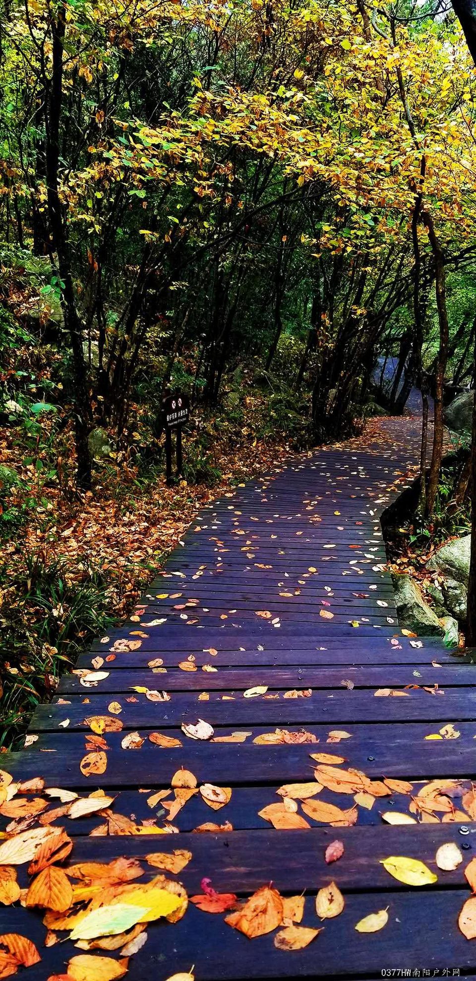 Vcl21dBzQhJrTfD5kuFfEYszA9mp8j7oyh4VEjaleQ6snluwtdpDqjooAa0-j4ew