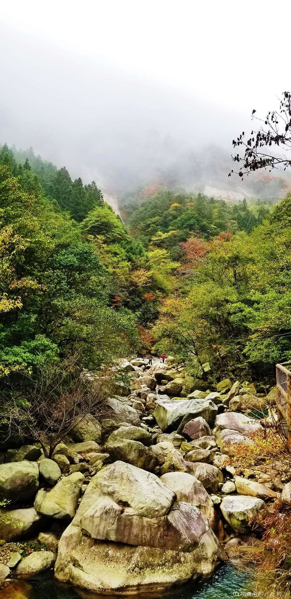 popa297W9tlAqpnfudE8hMbHqKC0vI0DNLRQn8Oe1wuHL_ZXVgPtn6h6tJZ8l4R5