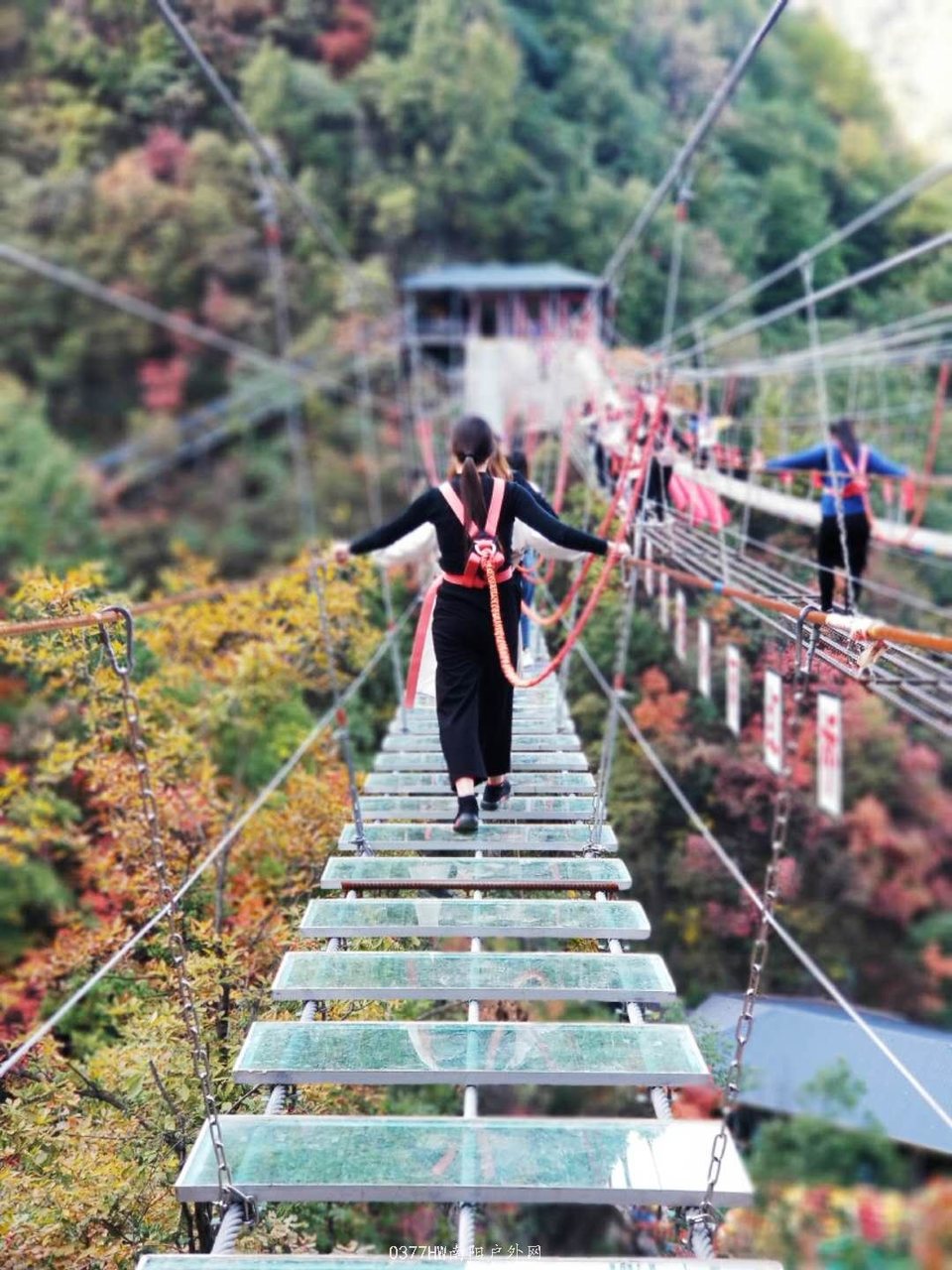 o-AxZBDlZgbMRfsuNheDkLxy0rcYw0dbisEkgRZGapG4efgfLw3Fjq465fRPYjwU